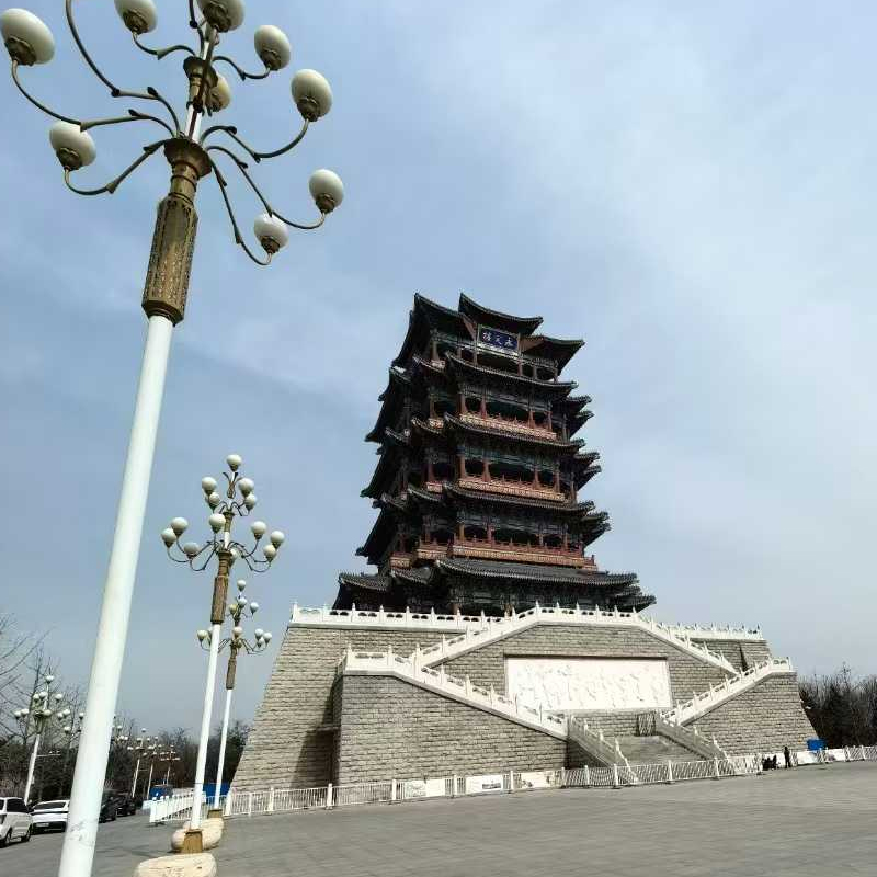 ���������ǲ����^  �������C 11�_